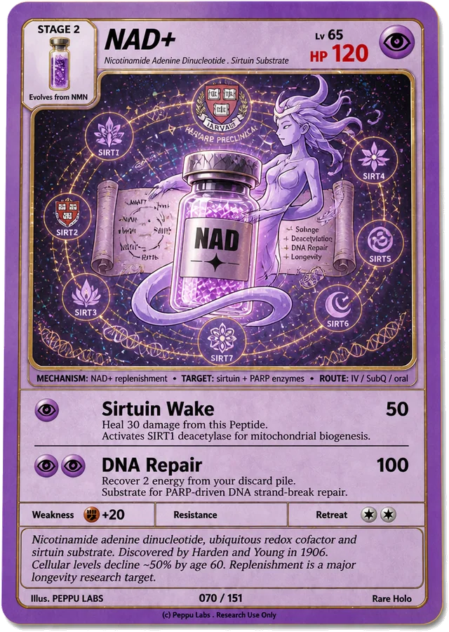 NAD+ trading card